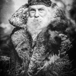 montage photo vieil homme barbu et fougères gelées