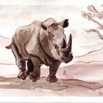 illustration rhinocéros à la plume et encre sépia